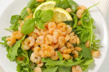 Spicy shrimps on bed of salad greens