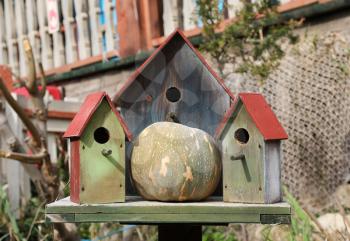 Three wooden bird houses and pumpkin in Popeye village, Sweethaven, Malta