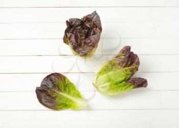 heads of fresh lettuce on white wooden background