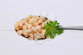 spoon of canned white beans on white wooden background