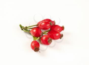 twig of rose hips on white background