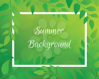 Nature gradient backdrop with foliage and rectangular frame. Green horizontal blurred background with bokeh. It can be used for poster, sale banner, packaging.