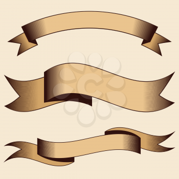 Set of vector vintage ribbons with hatching. Engraving style