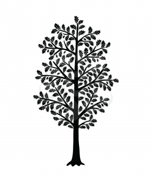 Black tree silhouette isolated on white background. Oak with leaves in acorns. Perfect for Interior Design.
