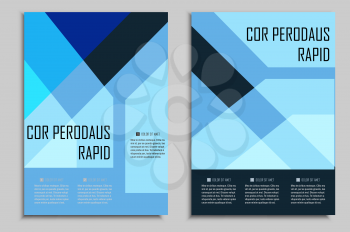 Vector brochures template for presentations, covers, books and business documents. Beautiful geometric design.