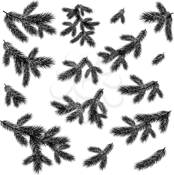 Christmas spruce tree branches set black silhouettes isolated on white background. Vector