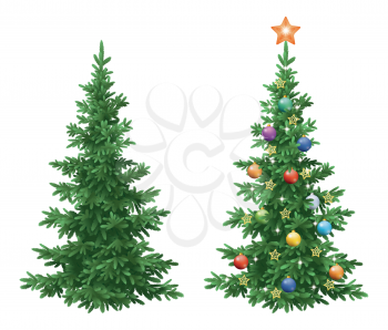 Christmas holiday spruce fir trees, natural and with ornaments, colorful balls and golden stars isolated on white background. Eps10, contains transparencies. Vector