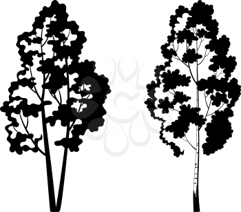 Trees, birch and symbolic black silhouette isolated on white background. Vector