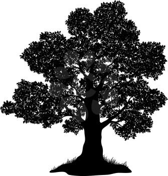 Oak tree with leaves and grass, black silhouette on white background. Vector