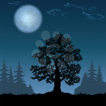 Oak tree, a black silhouette against the night spruce forest and sky with the moon. Element of this image furnished by NASA, www.visibleearth.nasa.gov. Vector