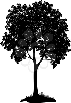 Chestnut tree, black silhouette on white background. Vector