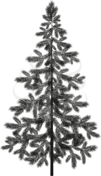 Christmas spruce fir tree black silhouette isolated on white background. Vector