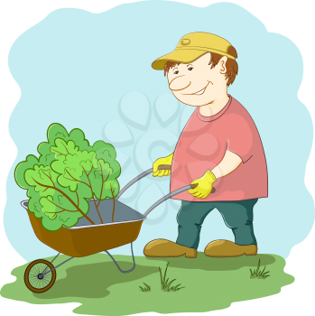 Man gardener works in a garden, rolls a wheelbarrow with a plant