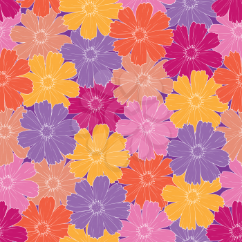 Seamless floral background, pattern of colorful cosmos flowers. Vector