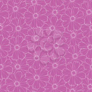 Seamless floral background, cosmos flowers, white contour on lilac. Vector