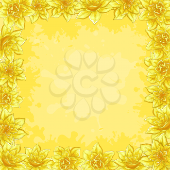 Floral background, frame from flowers narcissus. Vector