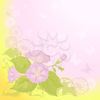 Ipomoea flowers and butterfly silhouettes on yellow and pink background. Vector