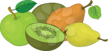 Still life, food, fruits on a white background: pears, kiwi, apple. Vector