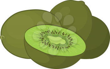 Food, kiwi fruit on a white background, vector