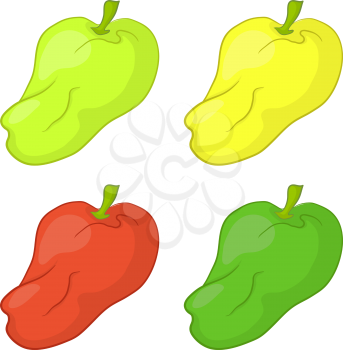 Vegetables: set various peppers, isolated on white background. Vector