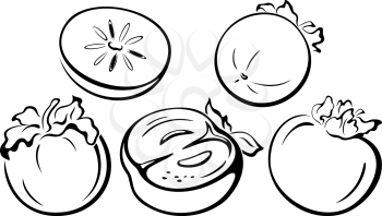 Fruits Set, Persimmon Monochrome Black Pictograms Icons Isolated on White Background. Vector