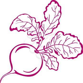 Vegetable, red radish with leaves, vector, symbolical monochrome pictogram