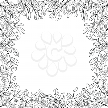 Background with a border of leaves of plants, contours