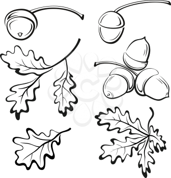 Set Oak Branches with Leaves and Acorns, Black Contour Pictograms Isolated on White Background. Vector