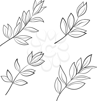 Leaves of various plants, set contours on a white background, vector