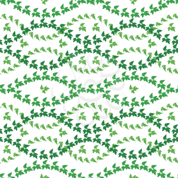 Seamless pattern, maple green leaves, isolated on white background. Vector