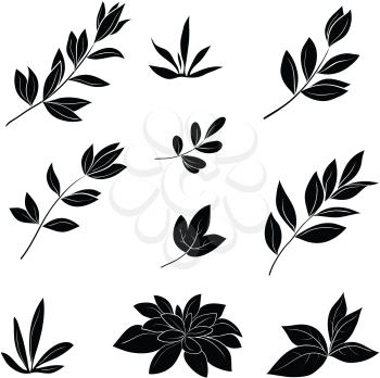 Leaves of various plants, set black silhouettes on white background. Vector illustration