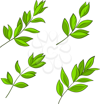 green leaves of various plants on a white background, vector, set