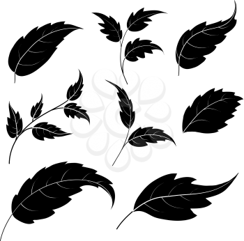 Set of leaves of plants and trees, black silhouettes on white background. Vector