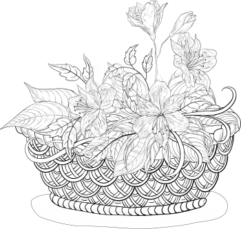 Wattled basket with flowers alstroemeria and leaves, black contours. Vector