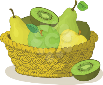 Still life, wattled basket with sweet fruits: apples, pears, kiwi. Vector