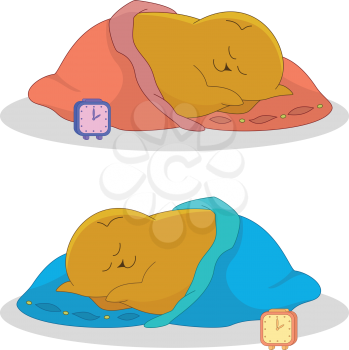 Cartoon, fat cat sleeps under the blanket, alarm clock beside him. Vector illustration