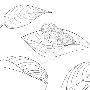 Vector cartoon, cheerful snail on leaf, monochrome contours