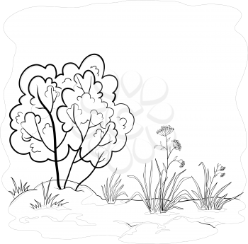 Natural landscape, garden with a grass, flowers and bush, contours. Vector