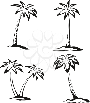 Tropical Palm Trees Pictograms Set, Black Contours Isolated on White Background. Vector