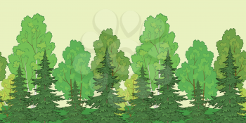 Seamless background, green summer forest with fir and birch trees. Vector