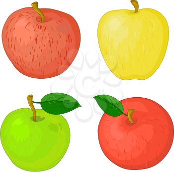 Fruits, set sweet raw various apples with green leafs. Vector