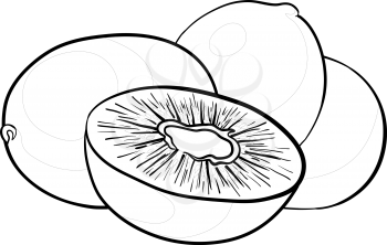 Food, kiwi fruit, monochrome contours on a white background, vector