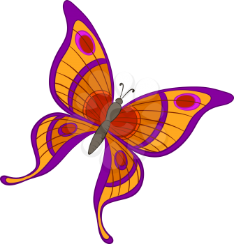 Vector, butterfly with various colorful wings on a white background
