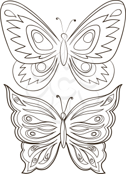 Butterflies, monochrome contours on a white background. Vector