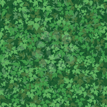 Seamless background, pattern of maple green leaves. Vector