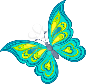 Butterfly with various colorful wings on a white background. Vector