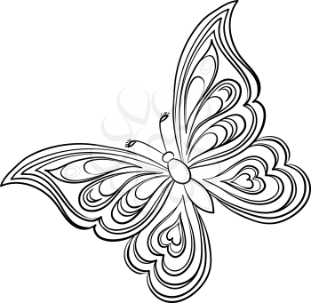 Butterfly, hand-draw monochrome contours on a white background. Vector