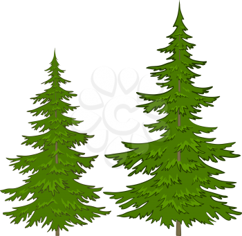 Christmas green trees, isolated on a white background