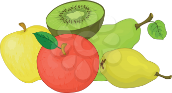 Still life, food, various fruits on a white background: apples, pears, kiwi. Vector