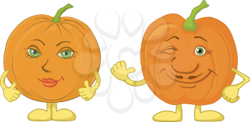 Cartoon vegetables, two character pumpkins isolated on white background. Vector